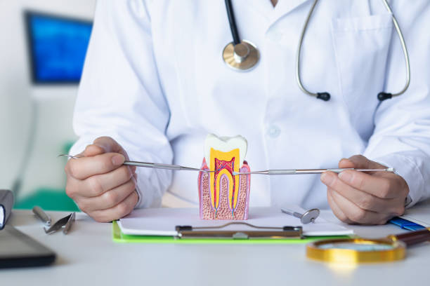 Best Emergency Dentist for Lost Fillings or Crowns in Libertyvle, IL